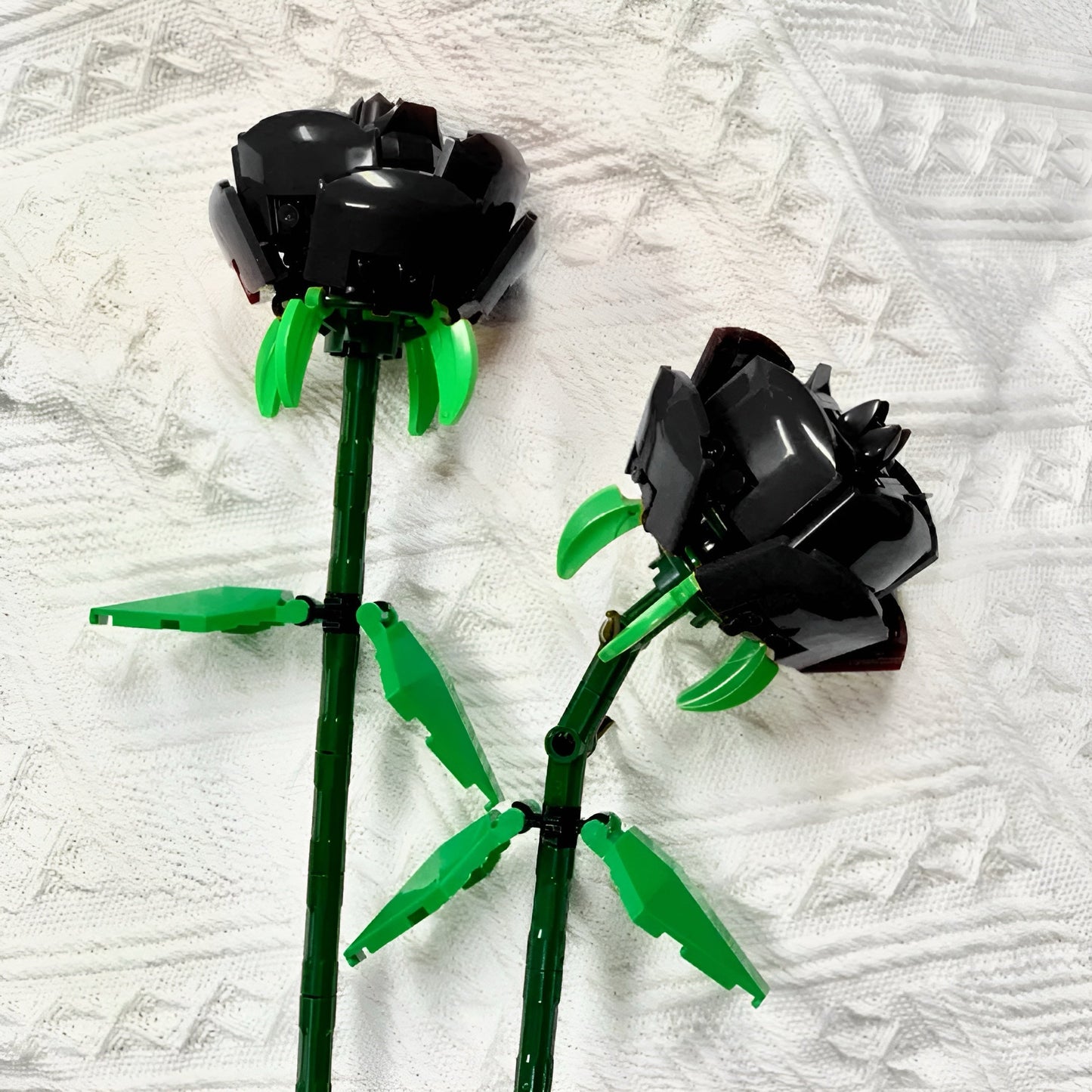 The Gothic Rose