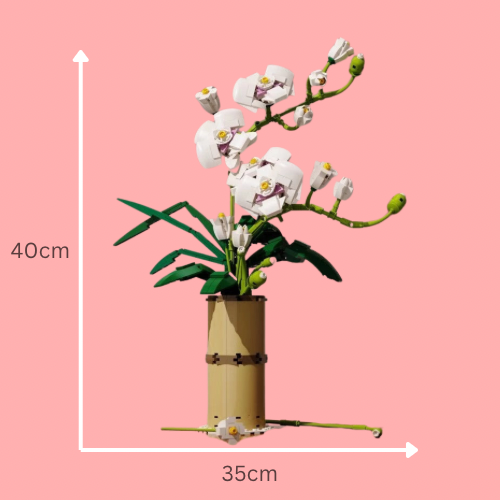 The Beautiful Blossom